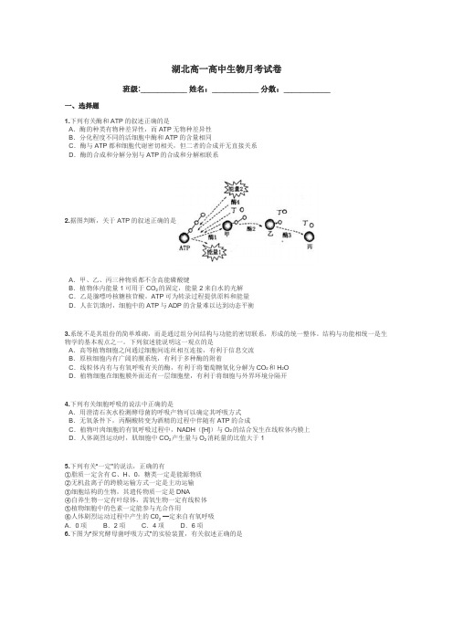 湖北高一高中生物月考试卷带答案解析
