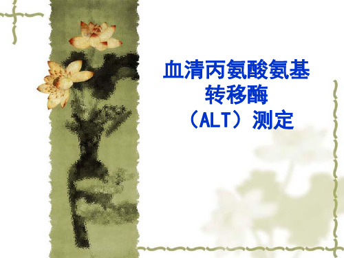 血清ALT标准曲线法课件