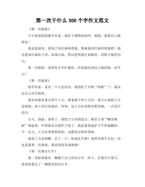 第一次干什么300个字作文范文