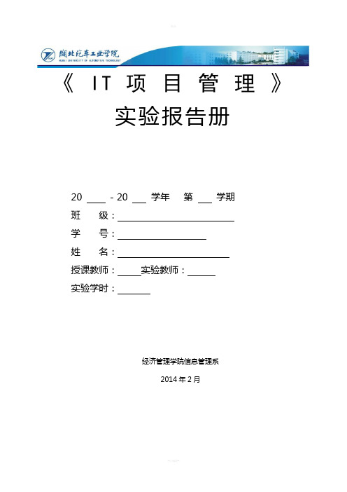 IT项目管理实验报告