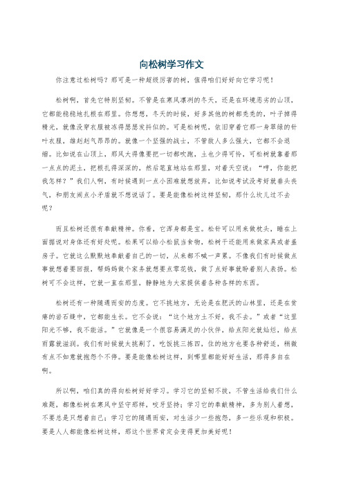 向松树学习作文