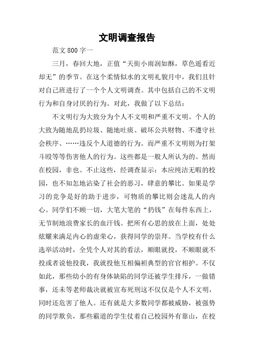 文明调查报告