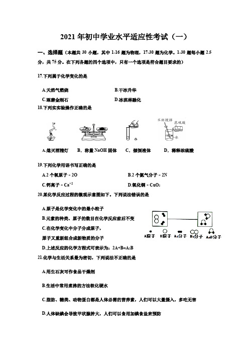 四川省乐山市犍为县2021年九年级中考适应性考试(一)化学试题