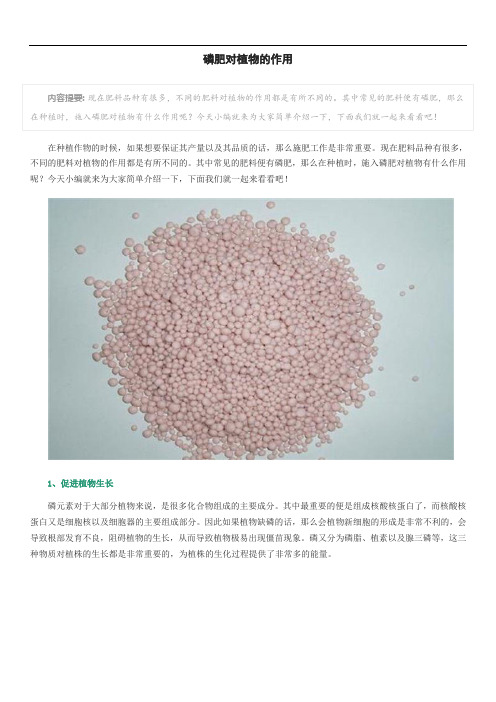 磷肥对植物的作用