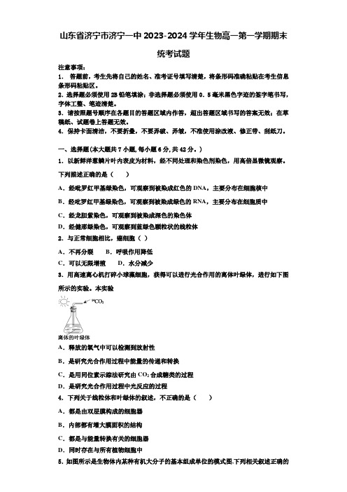 山东省济宁市济宁一中2023-2024学年生物高一第一学期期末统考试题含解析