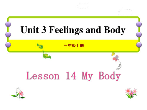 冀教版三年级英语上册 (My Body)Feelings and Body 新课件