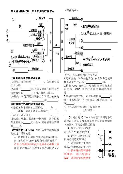 光合作用和呼吸作用第一课时导学案