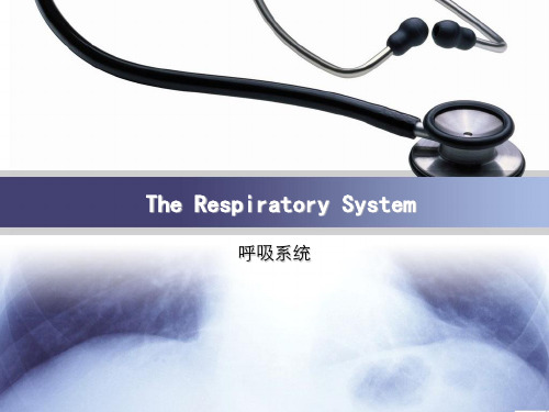 The Respiratory System