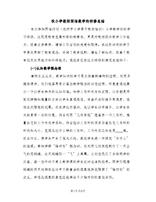 秋小学教师国培数学的研修总结（3篇）