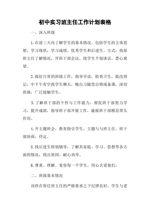 初中实习班主任工作计划表格