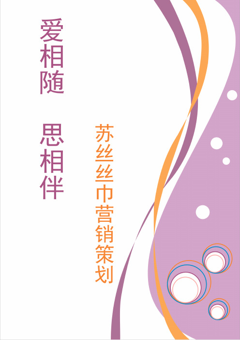 丝巾营销策划书(PDF 37页)