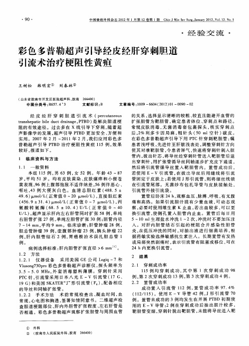 彩色多普勒超声引导经皮经肝穿刺胆道引流术治疗梗阻性黄疸