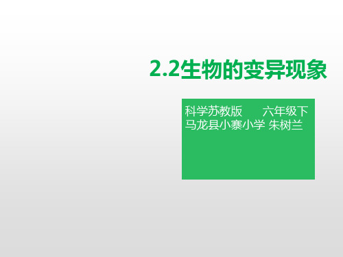 六年级下册科学课件-2.2 生物的变异现象(48)-苏教版