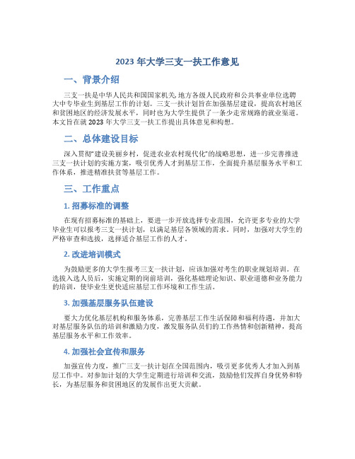 2023年大学三支一扶工作意见