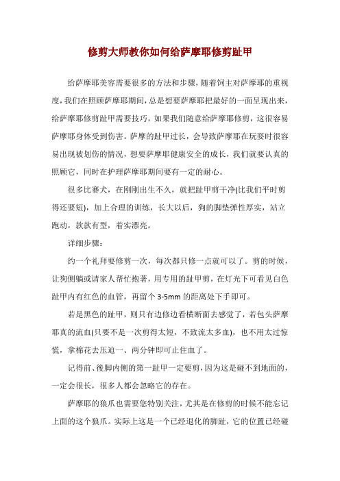 修剪大师教你如何给萨摩耶修剪趾甲