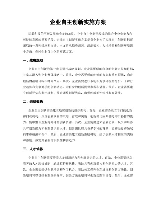 企业自主创新实施方案