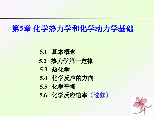 第5章  化学热力学和化学动力学基础