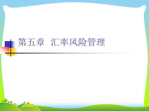 汇率风险管理(ppt49页)