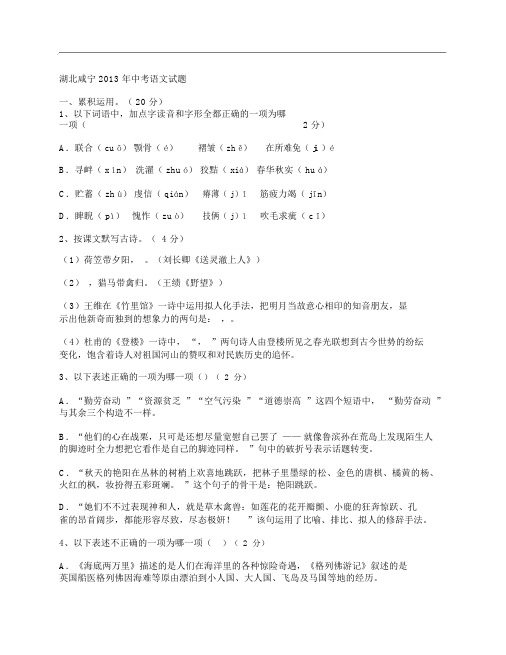 (NEW)2013年湖北省咸宁市中考语文试卷及答案网页版