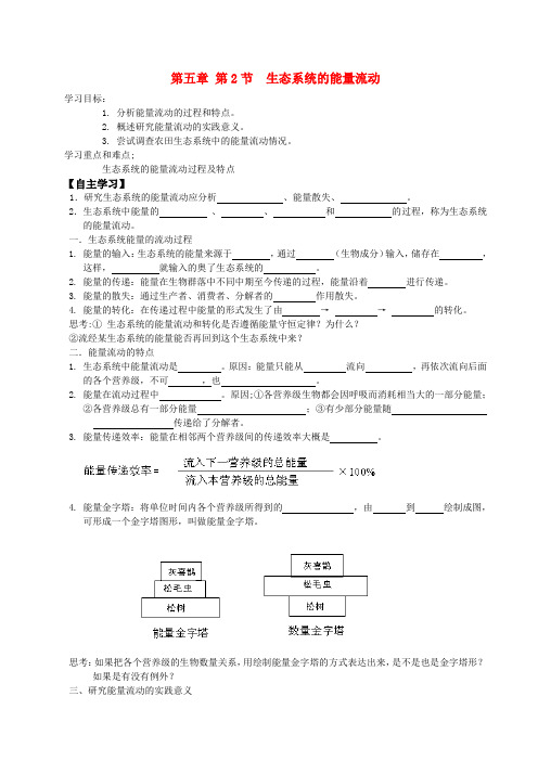 高中生物 第五章第2节生态系统的能量流动学案 新人教版