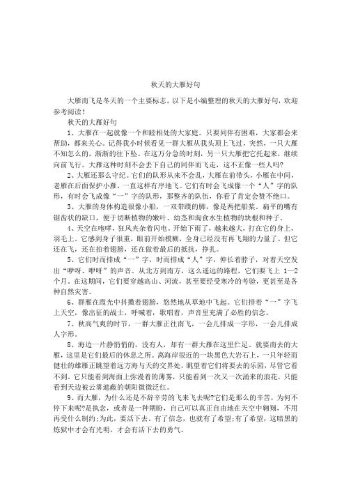 秋天的大雁好句