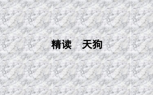 2018高中语文中国现代诗歌散文欣赏1.1《天狗》ppt课件