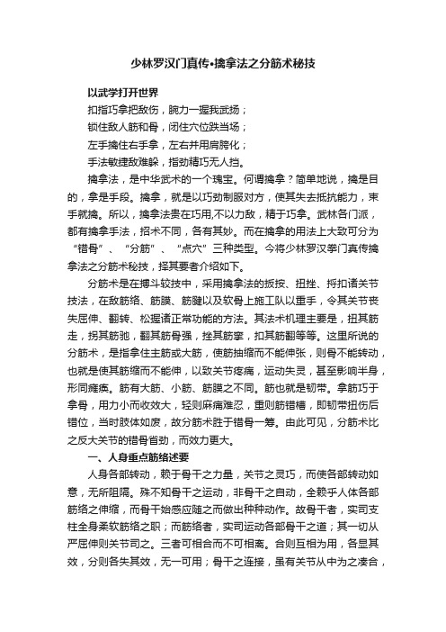 少林罗汉门真传·擒拿法之分筋术秘技