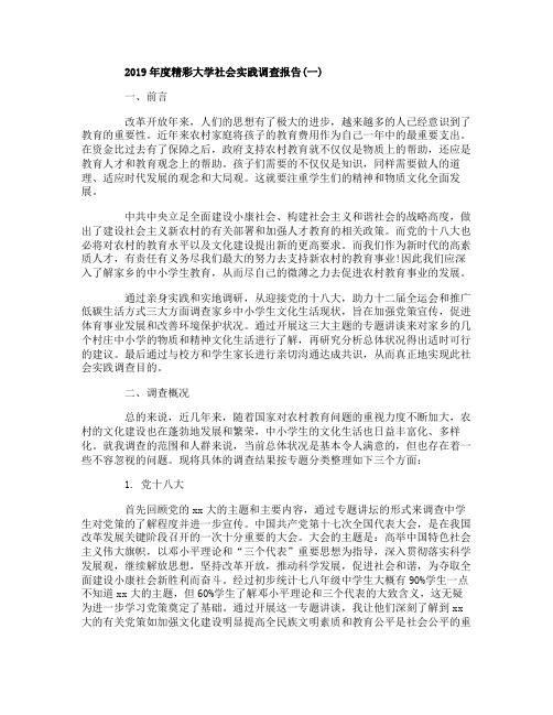2019年度精彩大学社会实践调查报告5篇