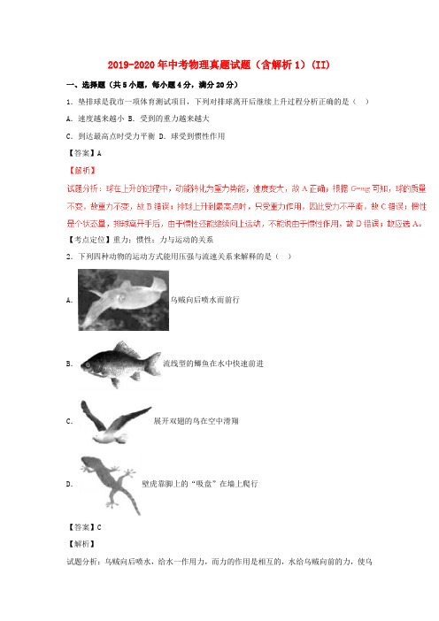 2019-2020年中考物理真题试题(含解析1)(II)