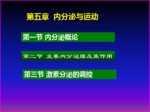 运动生理学内分泌PPT课件