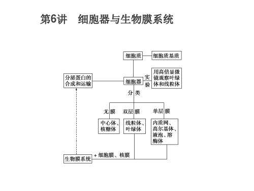 细胞器与生物膜系统