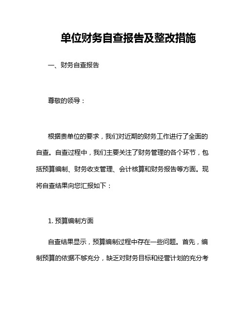 单位财务自查报告及整改措施