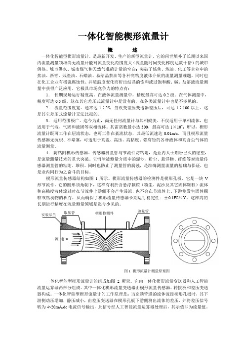 一体化智能型楔形流量计