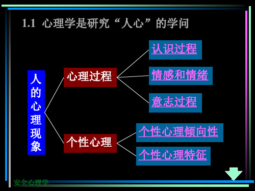 安全心理学讲稿PPT精选文档