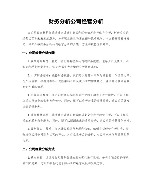 财务分析公司经营分析