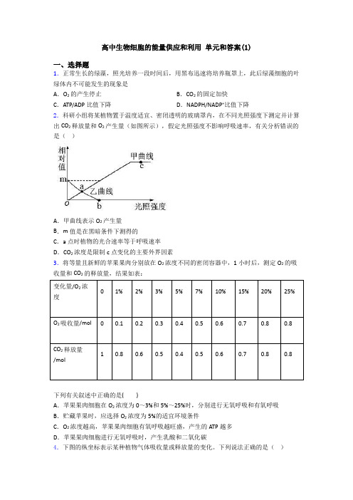 高中生物细胞的能量供应和利用 单元和答案(1)