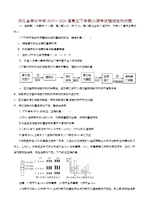 【全国百强校首发】河北省衡水中学2020届高三下学期第二次调研考试理综生物试题解析(原卷版)