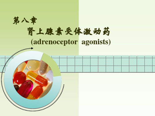 肾上腺素受体激动药-药理学-08