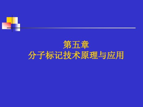 第五章分子标记技术原理与应用