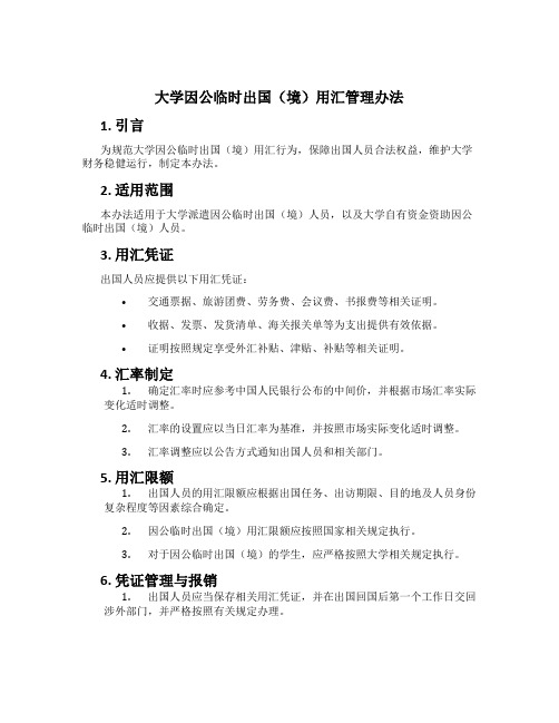 大学因公临时出国(境)用汇管理办法