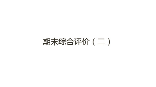 期末综合评价(二)课件---2024-2025学年九年级化学人教版(2024)上册