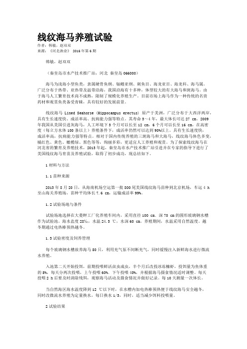 线纹海马养殖试验