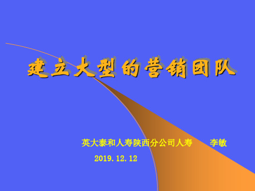 建立大型的营销团队PPT资料28页