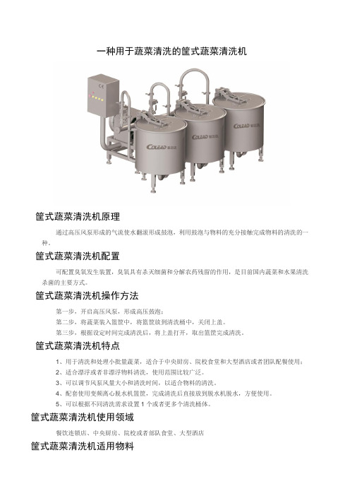 一种用于蔬菜清洗的筐式蔬菜清洗机