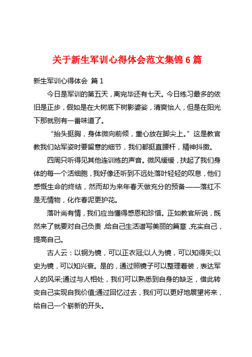 关于新生军训心得体会范文集锦6篇