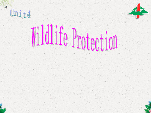 高一上学期英语课件：Unit4 Wildlife Protection (共16张PPT)