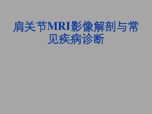 肩关节损伤MRI