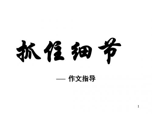 初中语文写作(作文)专项指导 抓住细节3 课件PPT(精品)