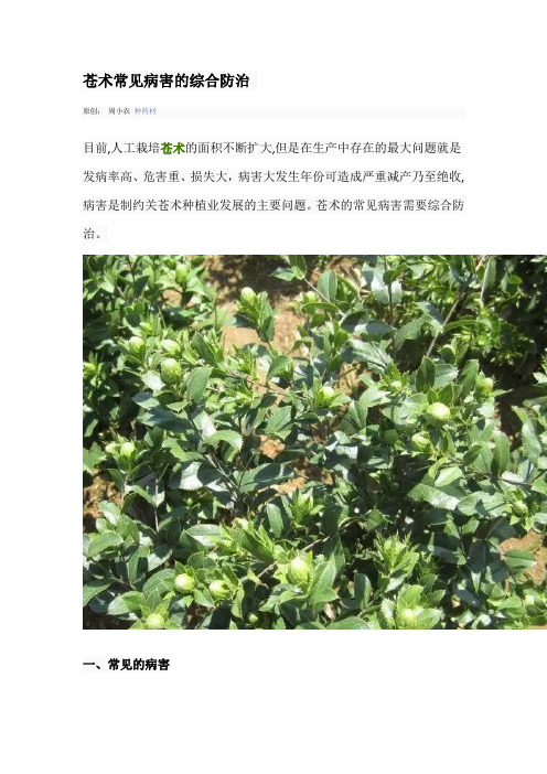 苍术常见病害的综合防治