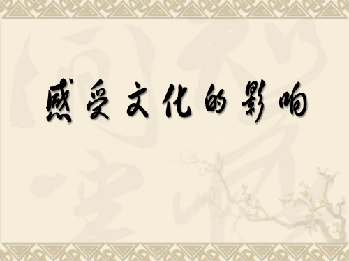 人教版高中政治必修三 1.1体味文化 公开课一等奖优秀课件